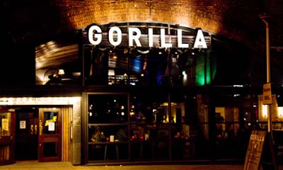 Gorilla
